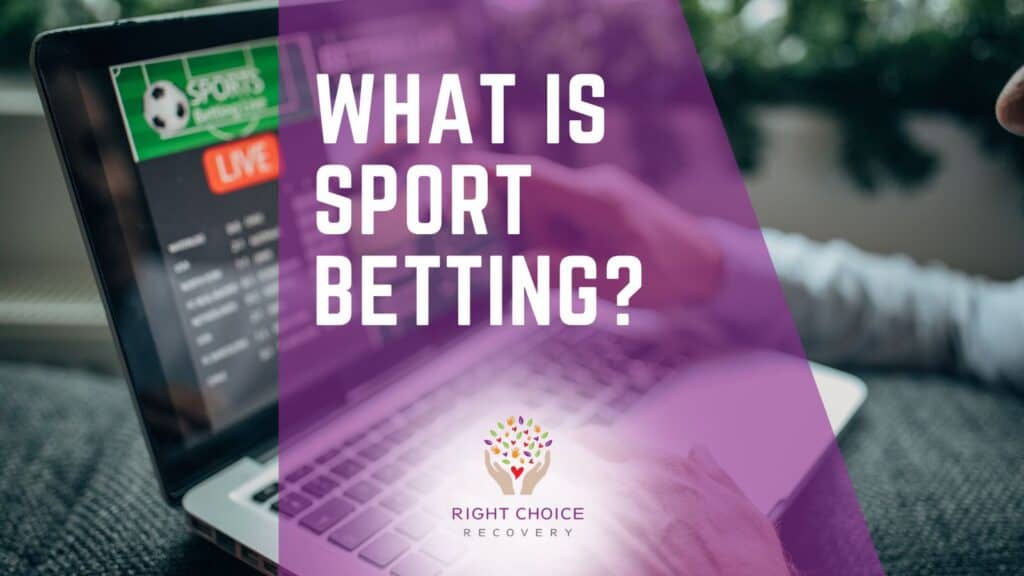 Top New Casino Sites This Year
