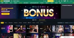 BetWinner Sportsbook Your Ultimate Guide to Online Betting